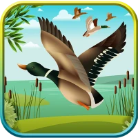 Duck Hunting 3D: Classic Hunt