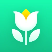 Plant Parent: Plant Care Guide
