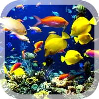 Real Aquarium Live Wallpaper