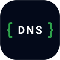 DNS Lookup Tool