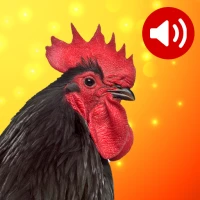 Animal Ringtones