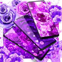 Purple rose live wallpaper