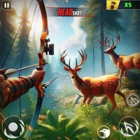 Archery Hunt Hero Bow Shooting