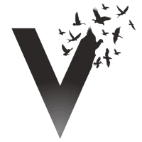 v4freedom