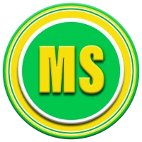 MS Tunnel