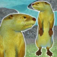 Otter Friends