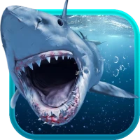 Shark Attack Live Wallpaper HD