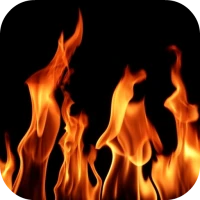 Fire Video Live Wallpaper