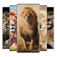 Lion Wallpaper