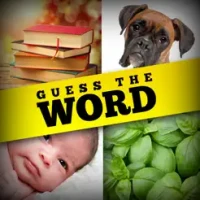 Guess The Word - 4 Pics 1 Word