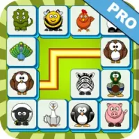 Onet Connect Pro