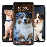 Puppy Wallpaper 4K | Live