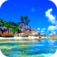Beach Wallpaper 2024