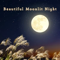 Beautiful Moonlit Night Theme