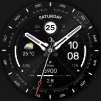 WFP 307 Hybrid watch face