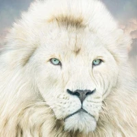 White Lion Wallpapers