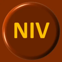 NIV Bible