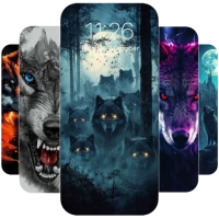 Wolf Wallpapers HD 4K