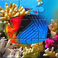 Fish Jigsaw Puzzles