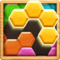 Wood Block Puzzle - Hexa