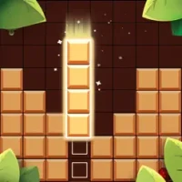 Wood Block Puzzle:Logic Master