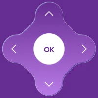 Cast to Roku & Roku TV Remote