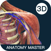 Anatomymaster