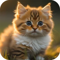 Cute Animal Wallpapers 4K