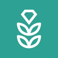 VPN Rice for Android TV