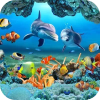 Koi Fish Live Wallpaper 3D