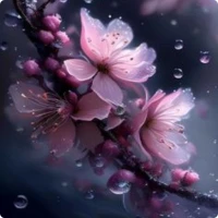 Bunga Sakura Wallpaper
