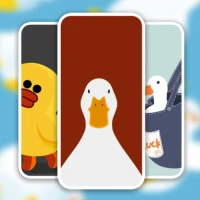 Cute Duck Wallpaper HD