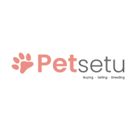 Petsetu: Adopt your first pet