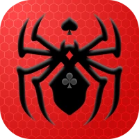 Spider Solitaire : Card Game
