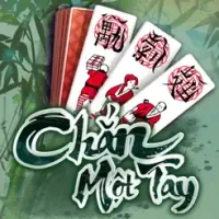 Ch&#7855;n S&#226;n &#272;&#236;nh - Ch&#7855;n M&#7897;t Tay