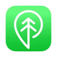 Treebal
