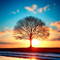 Nature Wallpaper HD Collection