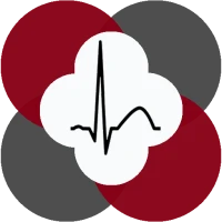 ECG Analysis for Polar H10