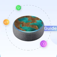 Amazon Echo Dot Guide