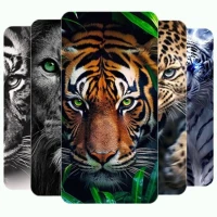 HD Animal Wallpapers