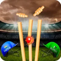 Play Live Cricket Game