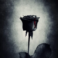 Dark Wallpaper HD - Black HD