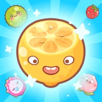 Fruit Merge Puzzle
