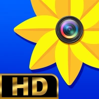 Gallery: Photo gallery & album