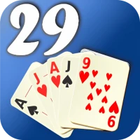 29 Card Game
