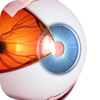Vision Workout : Eye Training