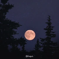 카카오톡 테마 - 밤하늘 달빛