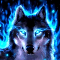 Wolf Wallpapers - HD 4K+