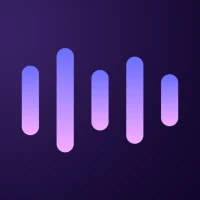 Voice Command, Setup Assistant