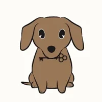 &#33073;&#20986;&#12466;&#12540;&#12512;&#12288;&#27877;&#26834;&#12392;&#29356;